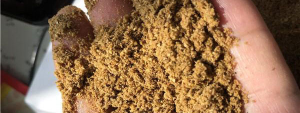 發(fā)酵過程泡沫的形成及控制？