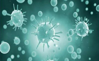 (圖:生物發(fā)酵工藝)